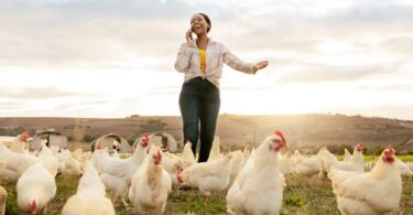 Canada-Poultry-Farm-Workers