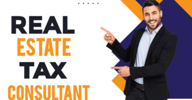 real-estate-tax-consultant