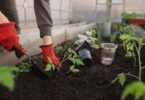 recruitment-for-gardener-in-canada-work-in-canada