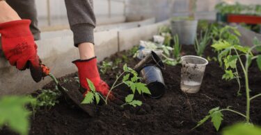 recruitment-for-gardener-in-canada-work-in-canada